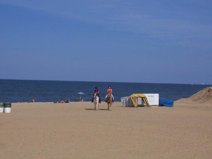 Hyatt House Virginia Beach / Oceanfront Bagian luar foto